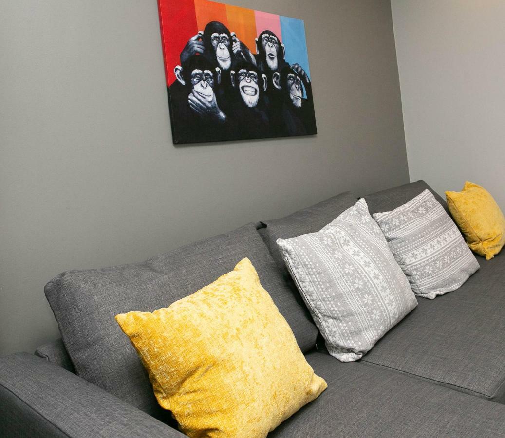 11 College Place North ベルファスト エクステリア 写真